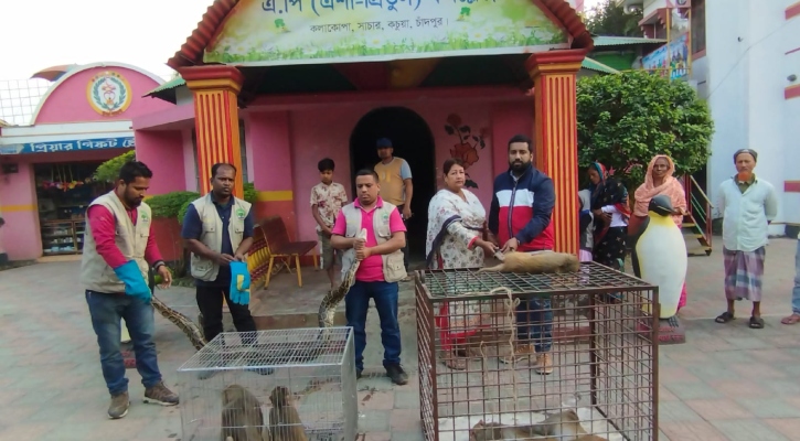 চাঁদপুরের ২ মিনি চিড়িয়াখানা থেকে ৫৯ বন্যপ্রাণী জব্দ